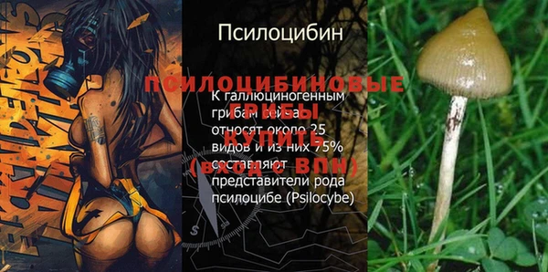 тгк Гусев
