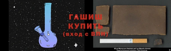 тгк Гусев
