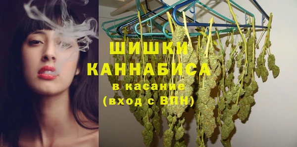 тгк Вяземский