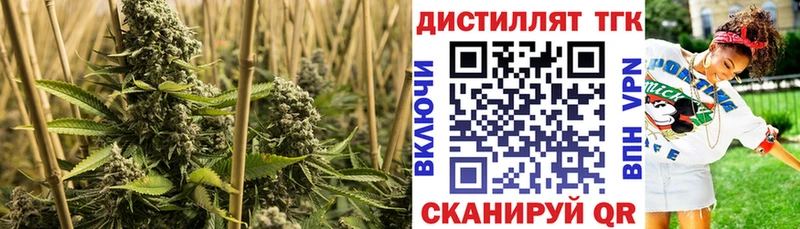 Дистиллят ТГК Wax  Дедовск 